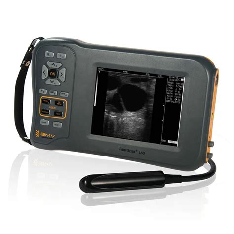 Cattle Portable Ultrasound Scanning Machine L60 - Buy High Quality Cattle Portable Ultrasound ...