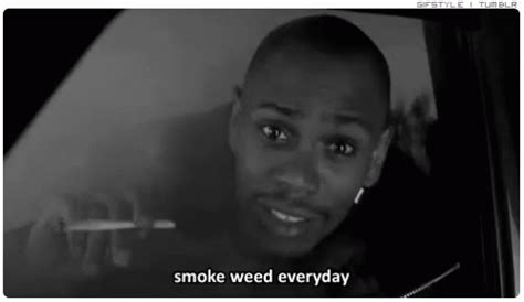 Smoke Weed Erryday GIFs | Tenor