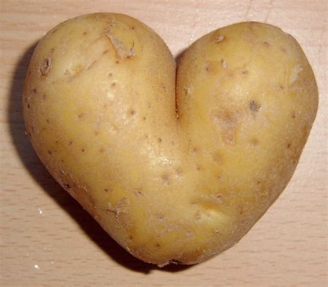 File:Potato heart mutation.jpg - Wikimedia Commons