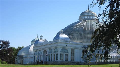 Botanical Gardens Lackawanna NY Photograph by Elizabeth Duggan - Fine Art America