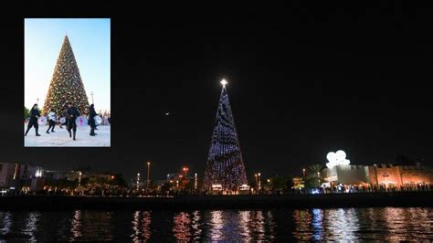 Dubai: Tallest Christmas tree in Middle East lights up in Al Seef