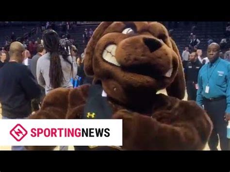 UMBC Mascot 'True Grit' Celebrates UMBC's Upset Over Virginia - YouTube