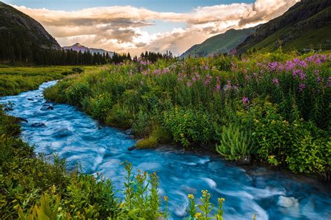 nature, Landscape, River, Trees, Forest, Clouds, Hill, Long Exposure, Colorado, USA, Flowers ...