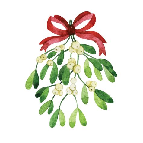 watercolor drawing. mistletoe christmas decoration. mistletoe garland 13681064 Vector Art at ...