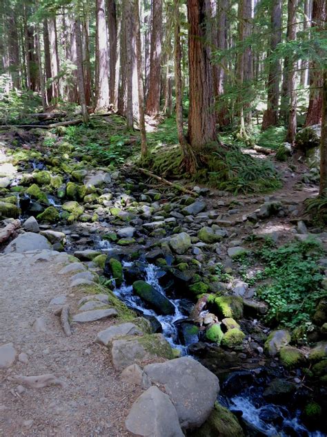 Writing With a Texas Twang: #Waterfalls - #Olympic Peninsula, WA - # ...