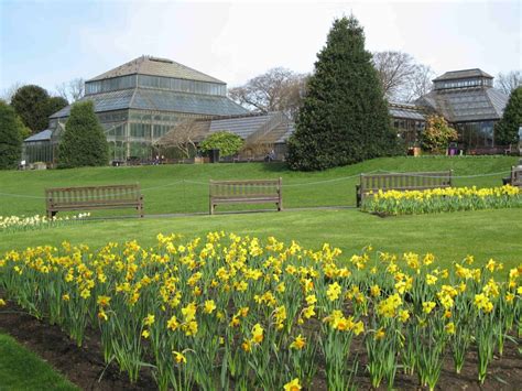 Glasgow Botanic Gardens