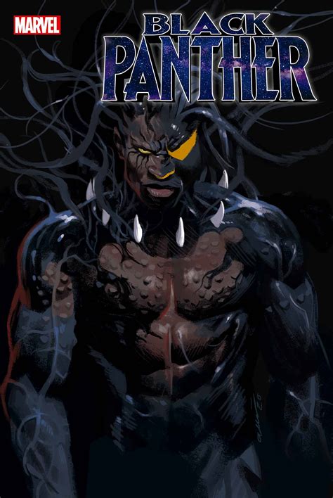 Black Panther #23 | Fresh Comics