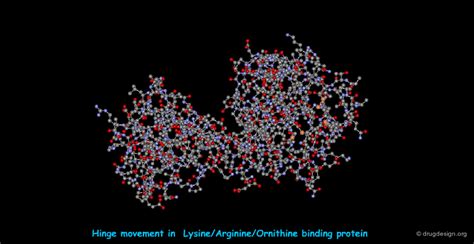 Protein Structure - Drug Design Org