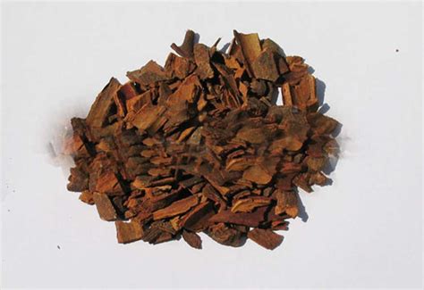 Cinnamon Cassia Chips (Cinnamon Cassia) – Natural Alchemy