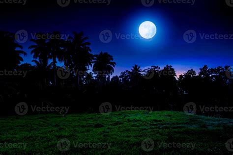 Tropical full moon night landscape with grass field 19154301 Stock Photo at Vecteezy