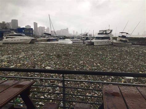 Clean-up efforts at storm-hit Durban beaches