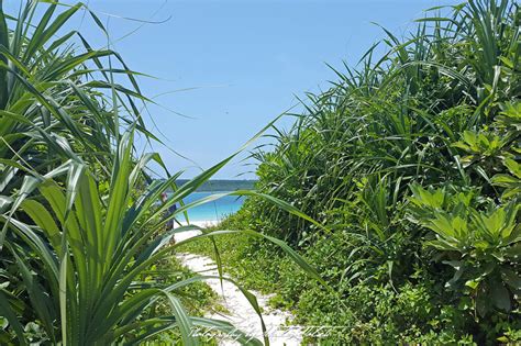 Miyako-jima | Yonaha Maehama Beach | Sebastian Motsch