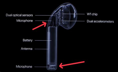 Where Is The Microphone On Airpods? Images Included - Descriptive Audio