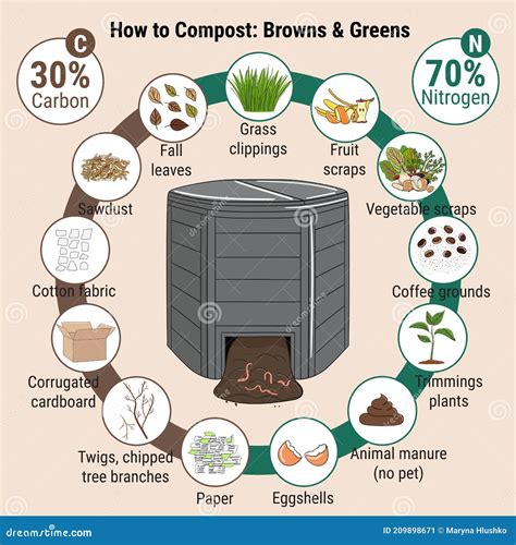 Infographic Of Garden Composting Bin With Scraps. What To Compost. Green And Brawn Ratio For ...