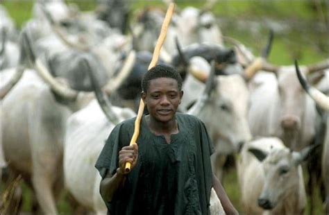 Proudly Fulani Herdsman - Culture - Nigeria