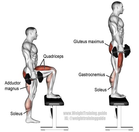 Dumbbell step-up exercise instructions and video | Weight Training Guide | Step up workout ...