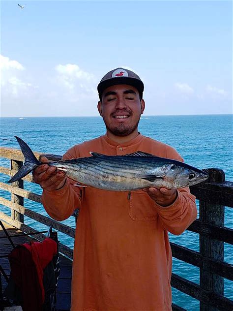 Oceanside Pier - Page 3 of 6 - Pier Fishing in California