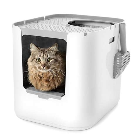 Extra Large Litter Box for Big Cats | Big Litter Box - Modkat