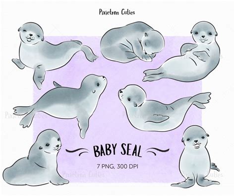 Seal clipart baby seal, Seal baby seal Transparent FREE for download on WebStockReview 2023