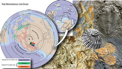 Gondwana’s Secret: 390-Million-Year-Old Marine Mystery Unraveled