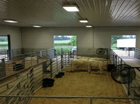 25+ Brilliant Cattle Pen Ideas You Have To See | Show cattle barn, Barn stalls, Show cattle