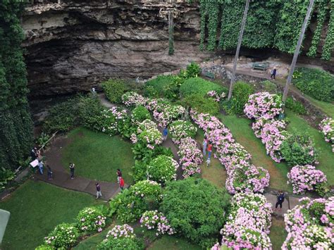 Umpherston Sinkhole, Mt Gambier : r/australia