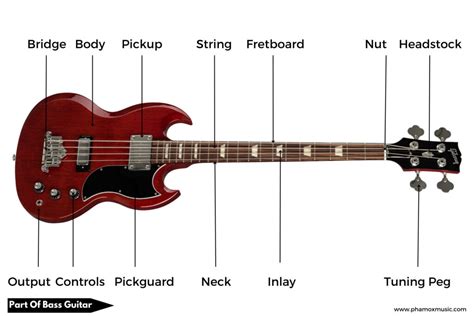 Parts of Bass Guitar: A Complete Guide - Phamox Music