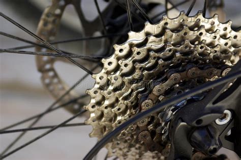 Bicycle gears stock image. Image of clean, macro, background - 17204849