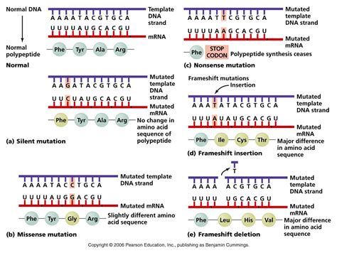 BIOLOGY SCIENCE NEWS: Advance in regenerative medicine could make ...