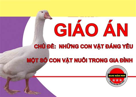 Chủ đề những con vật nuôi trong gia đình - Giáo án nhà trẻ 24-36 tháng