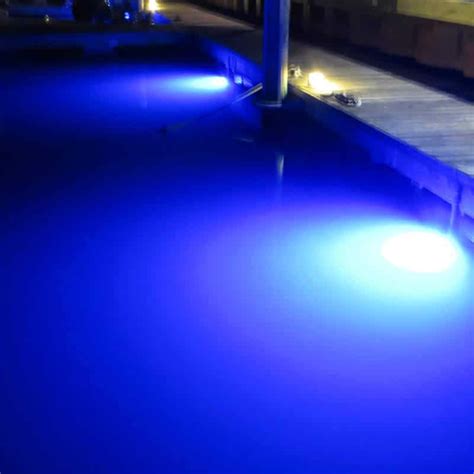 LED Sea-Vue™ Dock Light | All Your Underwater Light Needs