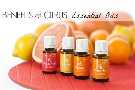 Benefits of Citrus Essential Oils - BargainBriana