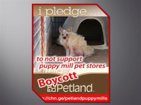 PETION SITE –Petland USA: Stop Selling Pets – Fire Puppy Mills – Petland Canada Has ...