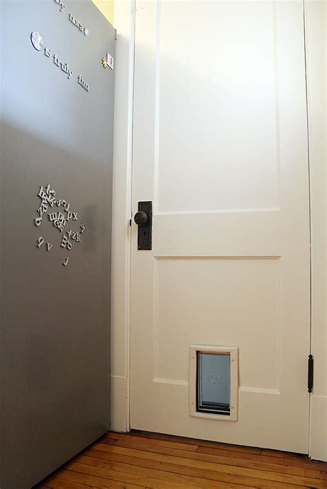 Door Installation: How To Install Cat Door