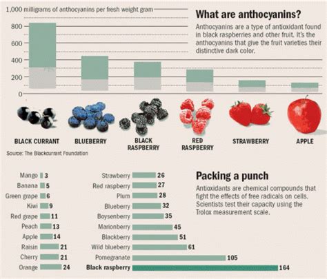 Anthocyanins benefits - also in our NO product! | Anti cancer, Healthy detox diet, Black raspberry