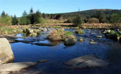 Galloway Forest Park - History, Travel, and accommodation information