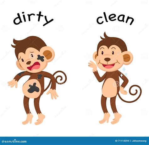 Opposite Words Dirty And Clean Vector Illustration | CartoonDealer.com ...