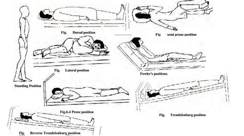 Purpose and Position of good body mechanics and posture