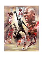 Chicago Bulls Michael Jordan 3d Poster – Big Daddy Store