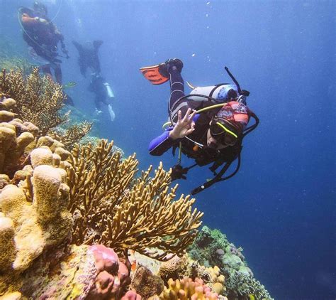 Terumbu Karang Warna-warni Bawah Laut Takabonerate Bikin Diver ...