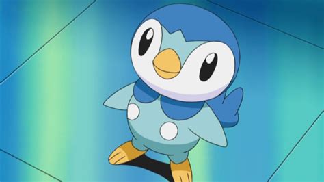 Piplup | Pooh's Adventures Wiki | FANDOM powered by Wikia