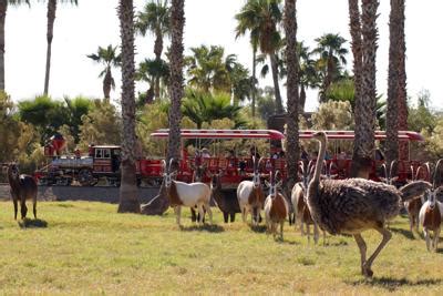 Wildlife World Zoo named best zoo in Arizona | News | westvalleyview.com