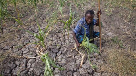 1984: The Parable of Ethiopian Famine and Foreign Aid – Active History