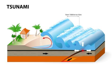 Reader question about proximate cause in tsunami incidents – Prof ...