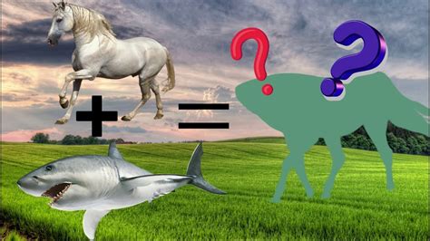 Shark + Horse=Dancing Shark + Horse.Meme - YouTube