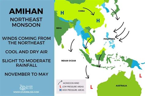 Amihan And Habagat: Diving Seasons In The Philippines Explained