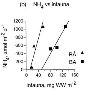 Correlation between macroscopic infauna and sediment-water nitrogen ...