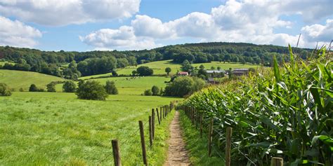 10 wandelroutes door het bijzondere Zuid-Limburg - Wandel