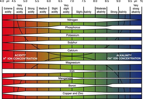 Soil Ph Level Chart Printable