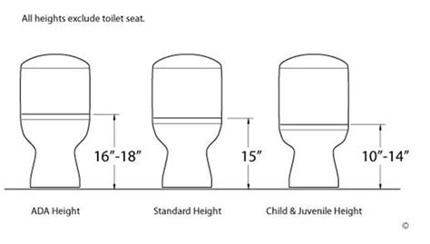 21 Different Types of Toilets (Styles, Flush Types, Features)